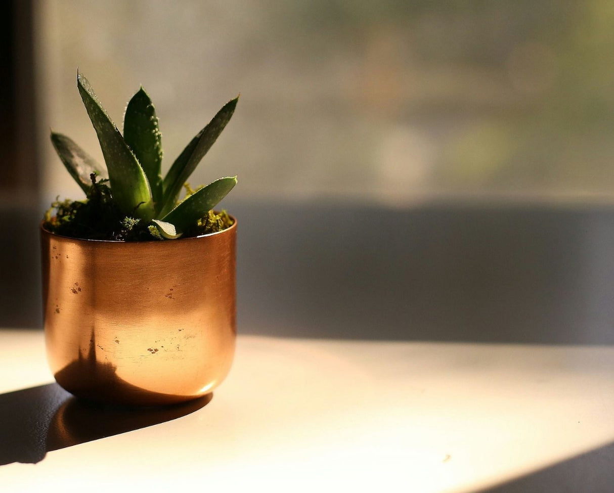 Hagerty Copper, Brass & Bronze Polish