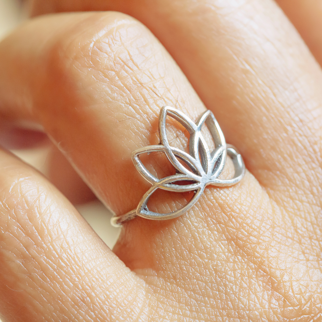 Hagerty Silver Cloth